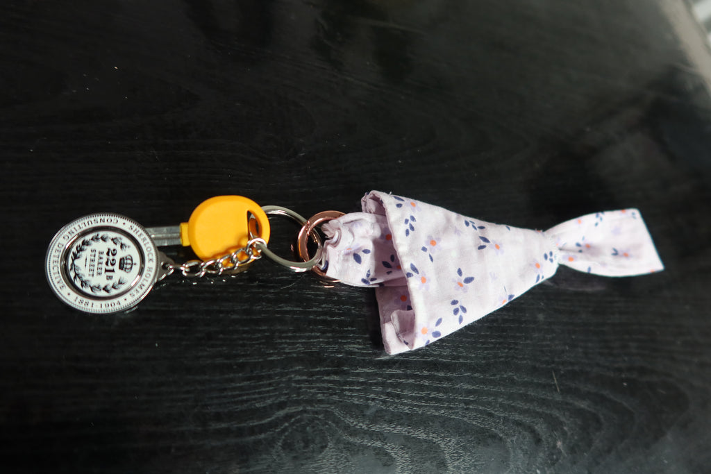Porte-clés lanière